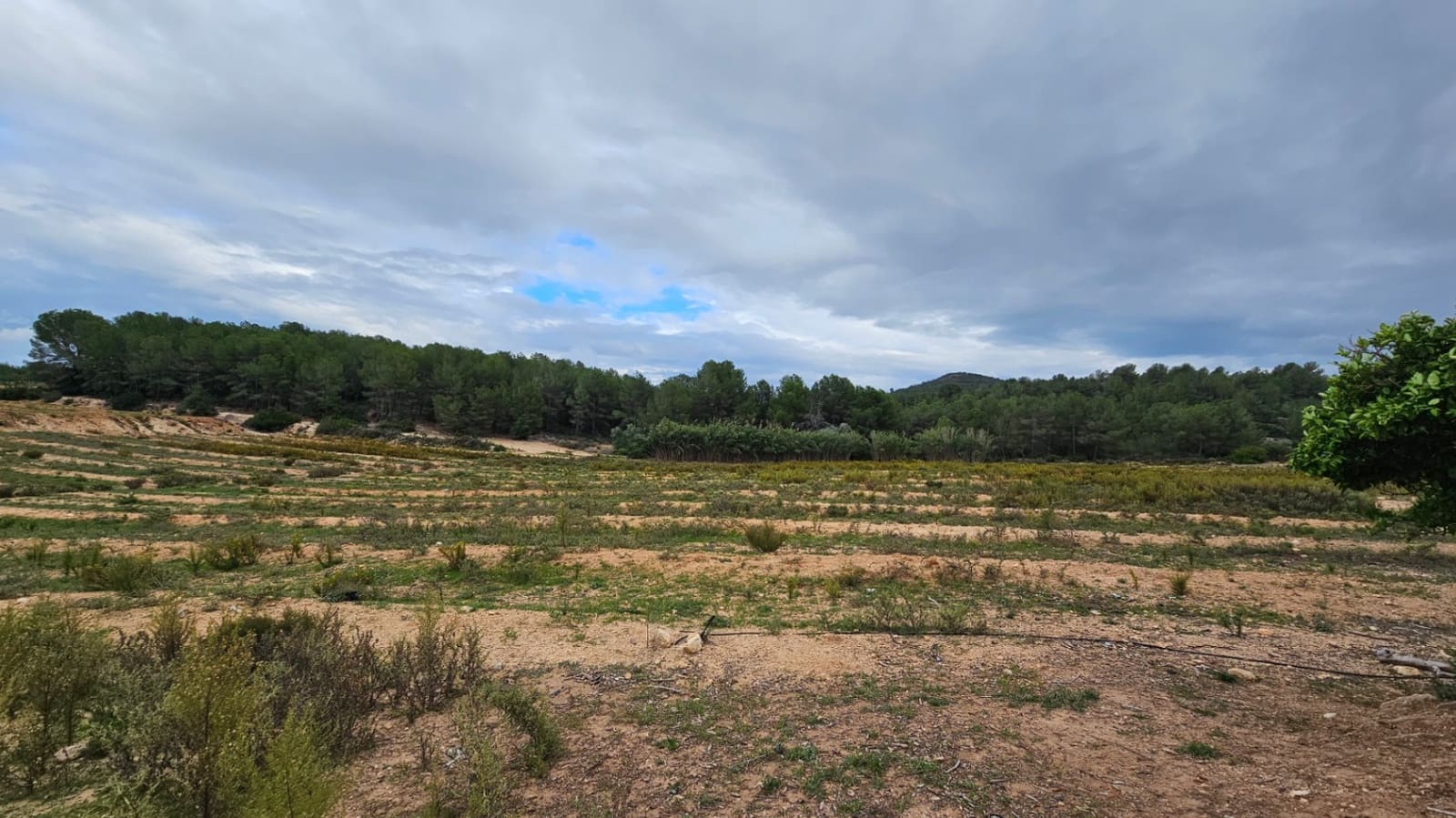 2 sovrum Finca/Hus på landet till salu i Alcala de Xivert - 240 000 € (Ref: 8617010)