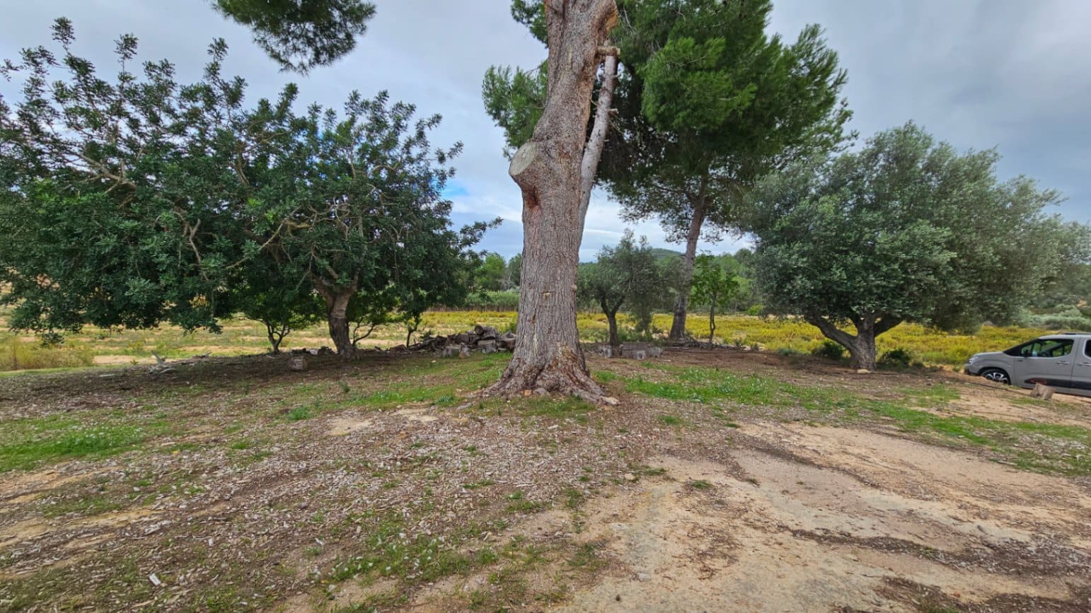 2 sovrum Finca/Hus på landet till salu i Alcala de Xivert - 240 000 € (Ref: 8617010)