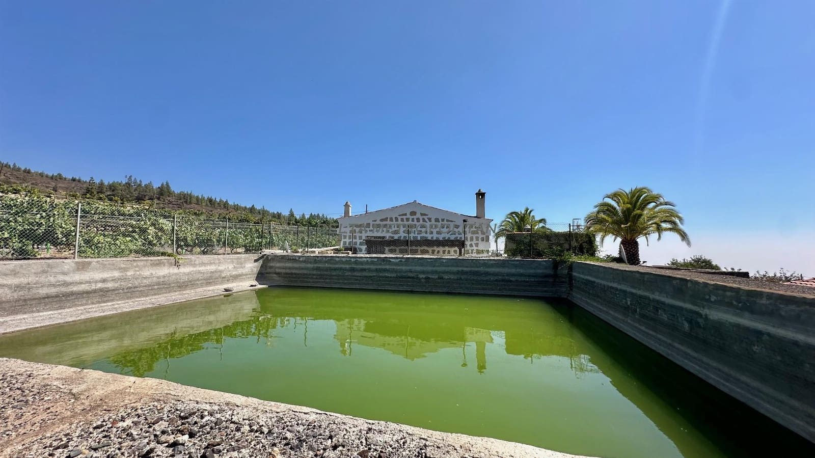 2 chambre Finca/Maison de Campagne à vendre à Cruz de Tea - 450 000 € (Ref: 8590085)