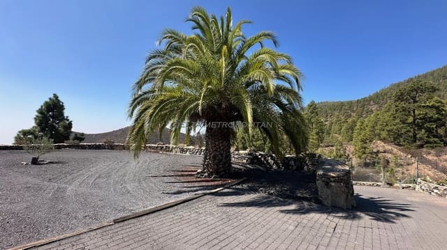 2 chambre Finca/Maison de Campagne à vendre à Cruz de Tea, Granadilla de Abona - 450 000 € (Ref: 8590085)