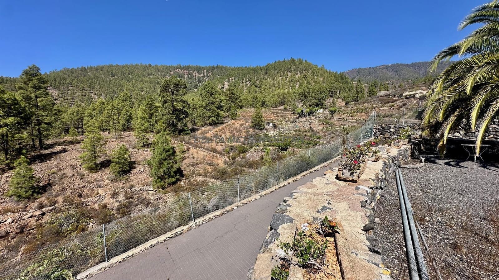 2 chambre Finca/Maison de Campagne à vendre à Cruz de Tea - 450 000 € (Ref: 8590085)