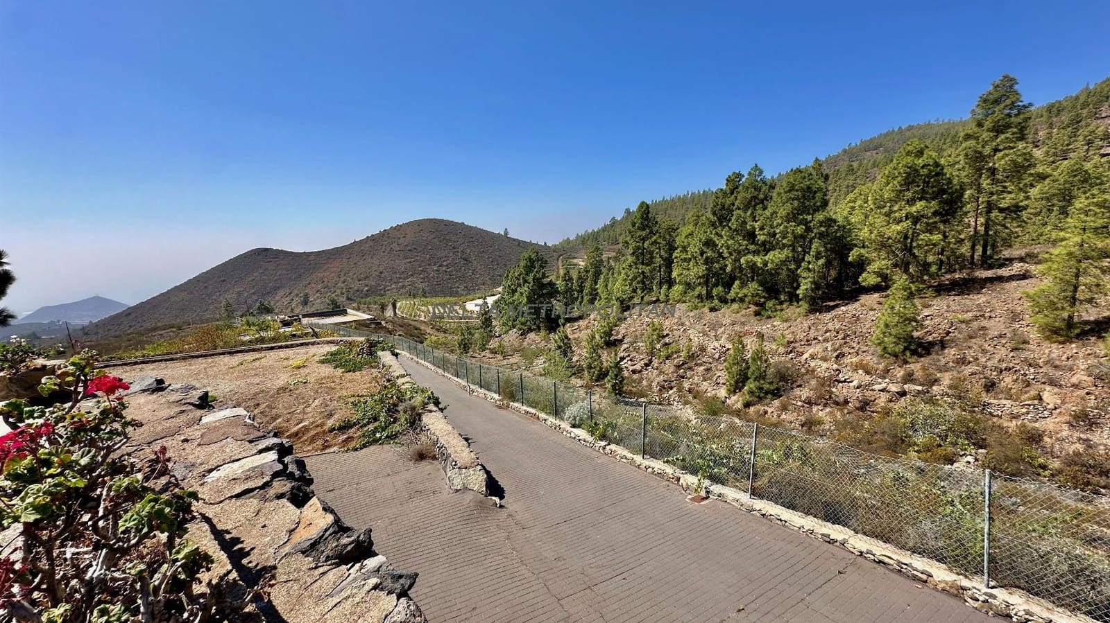 2 chambre Finca/Maison de Campagne à vendre à Cruz de Tea - 450 000 € (Ref: 8590085)