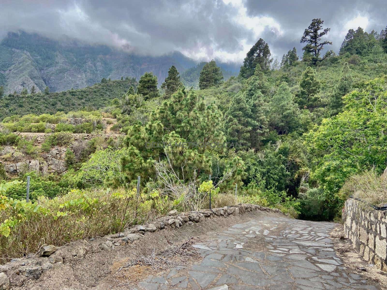 Terreno Non Edificato in vendita in Guimar - 65.000 € (Rif: 8590106)