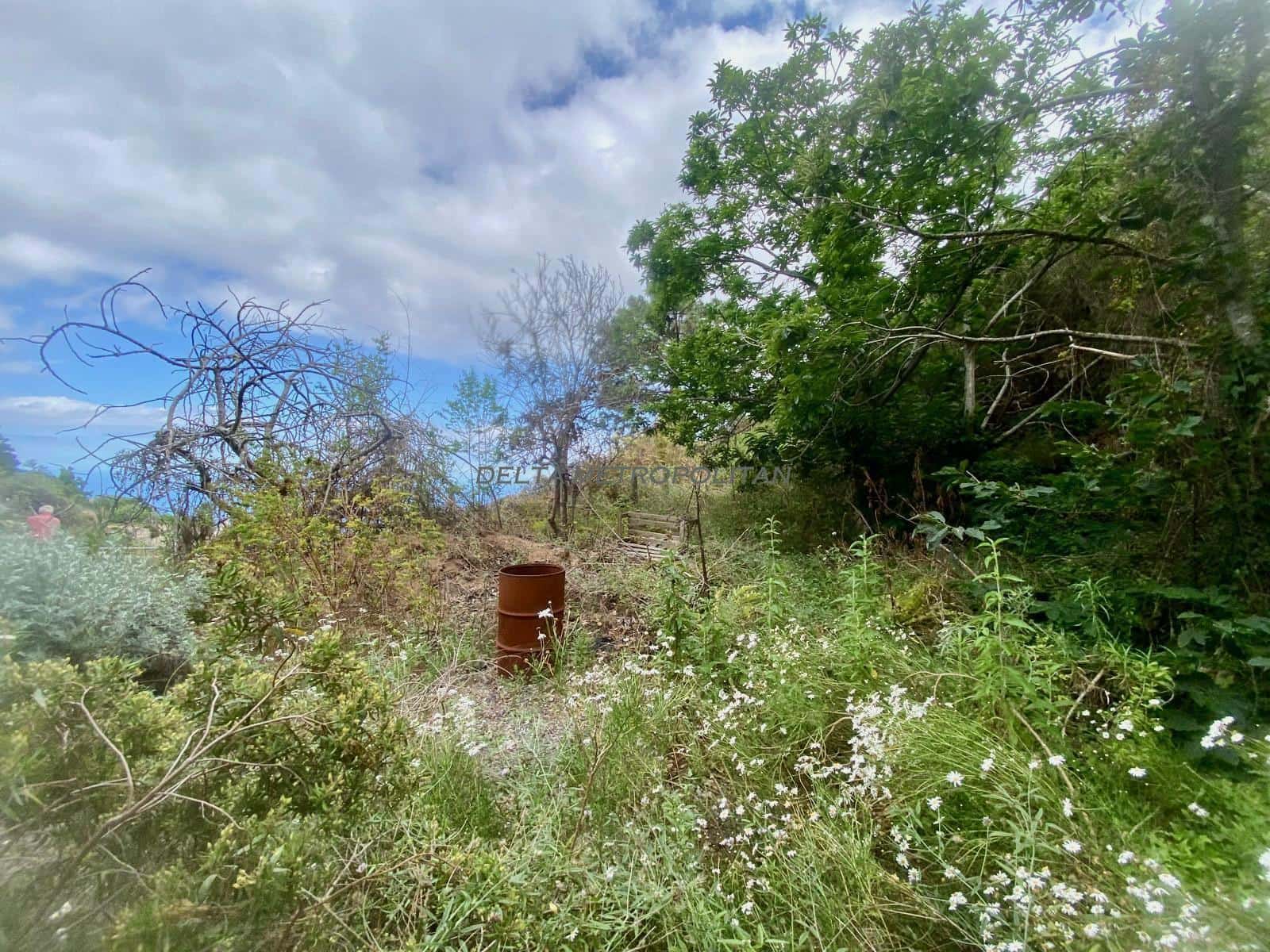 Terreno Non Edificato in vendita in Guimar - 65.000 € (Rif: 8590106)