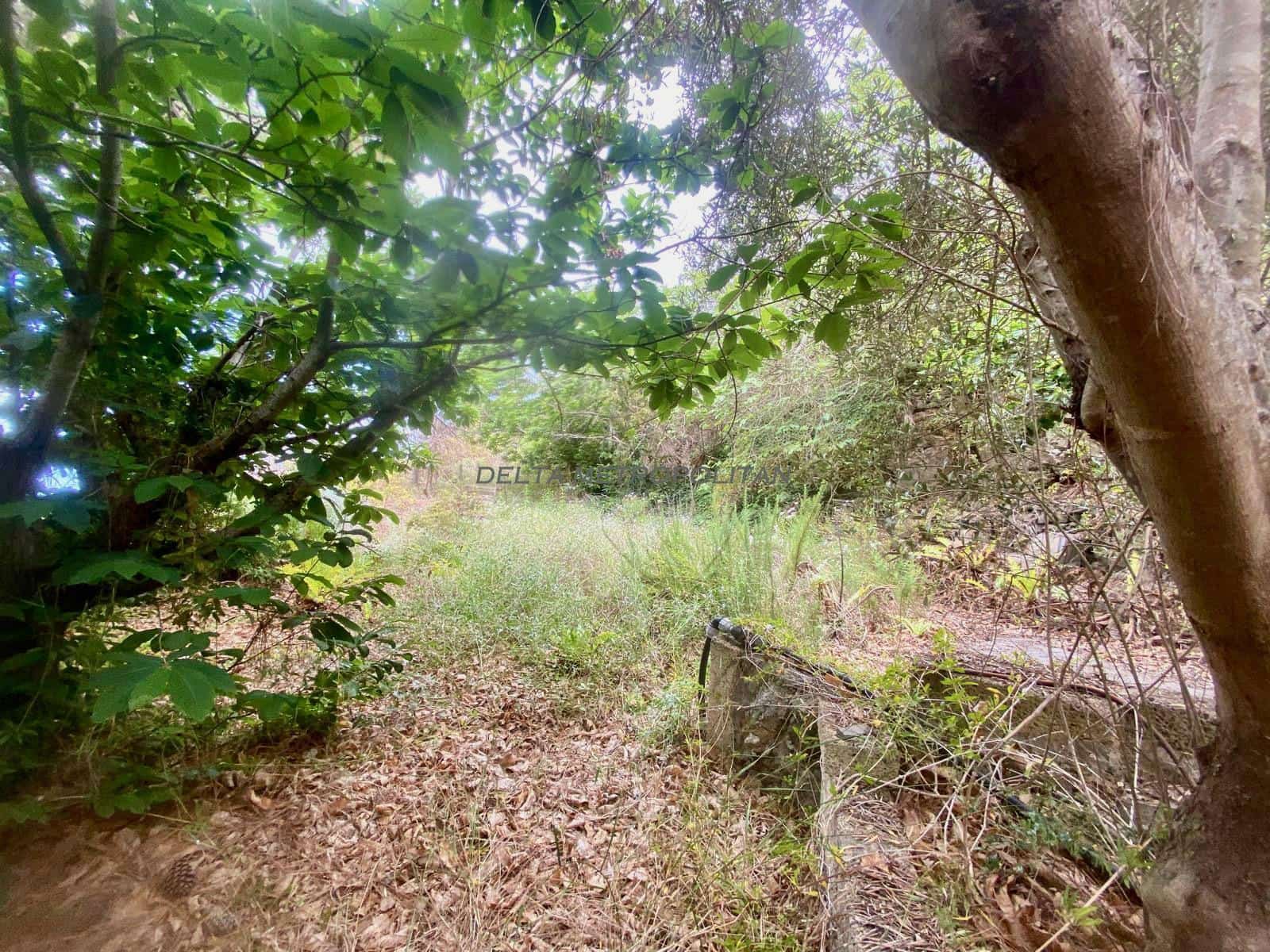 Terreno Non Edificato in vendita in Guimar - 65.000 € (Rif: 8590106)