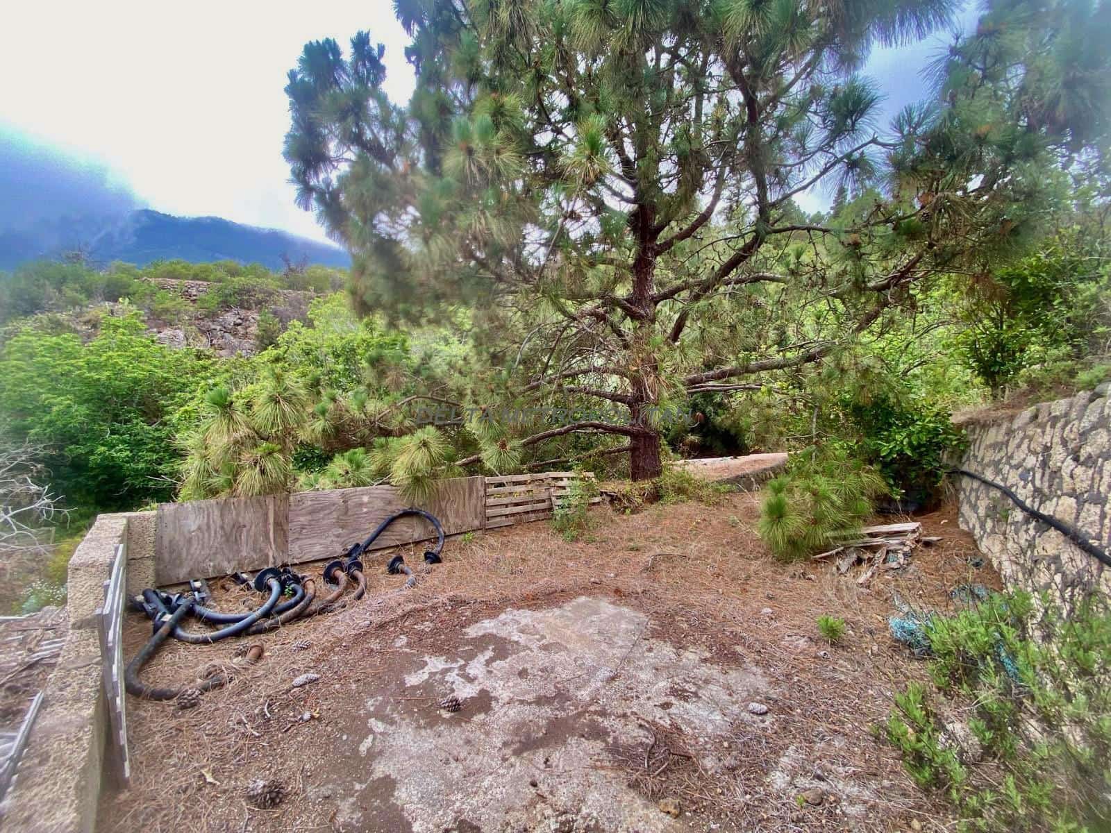 Terreno Non Edificato in vendita in Guimar - 65.000 € (Rif: 8590106)