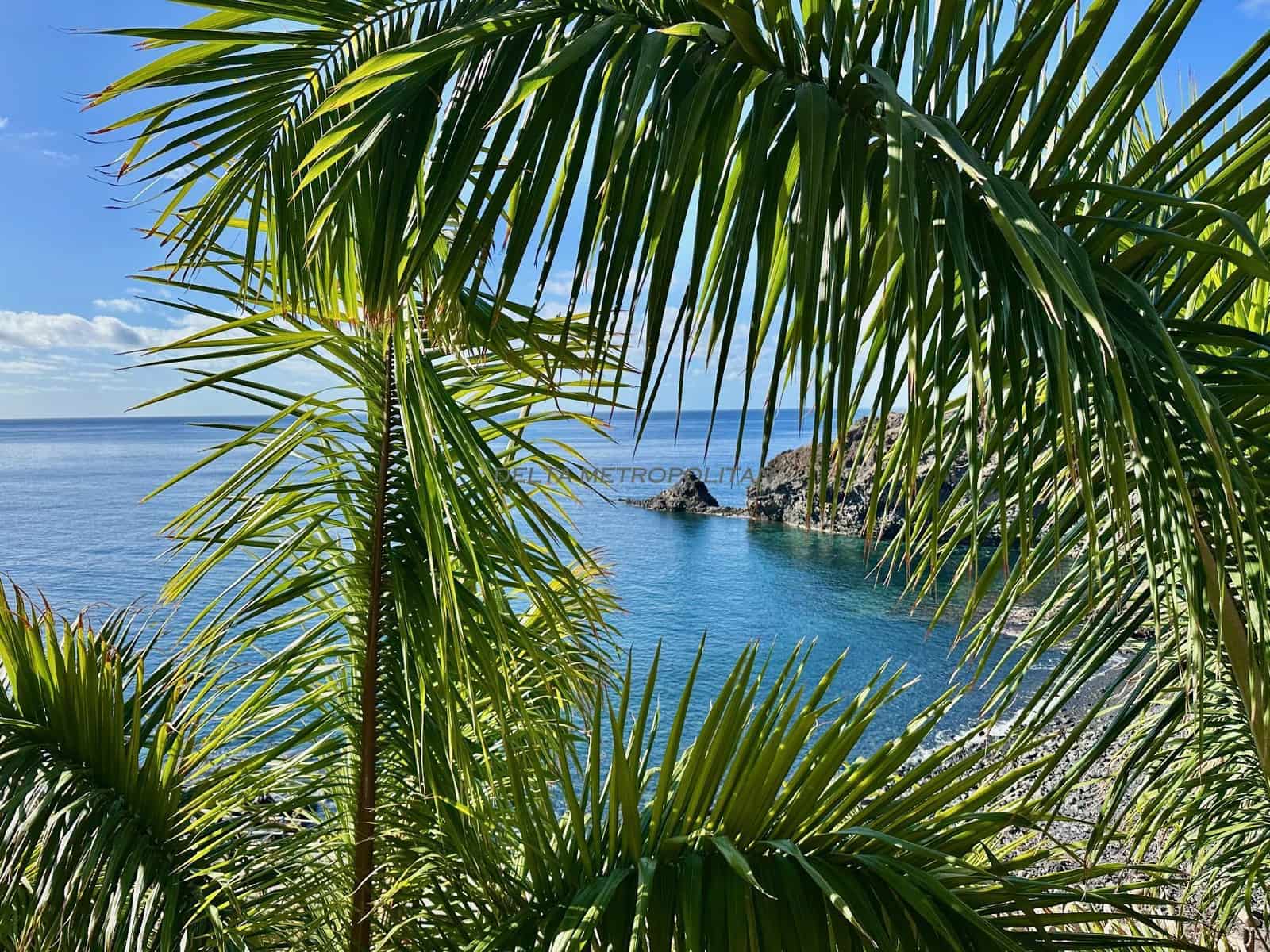 1 camera da letto Appartamento da affittare in San Miguel de Abona con piscina - 1.500 € (Rif: 8981780)