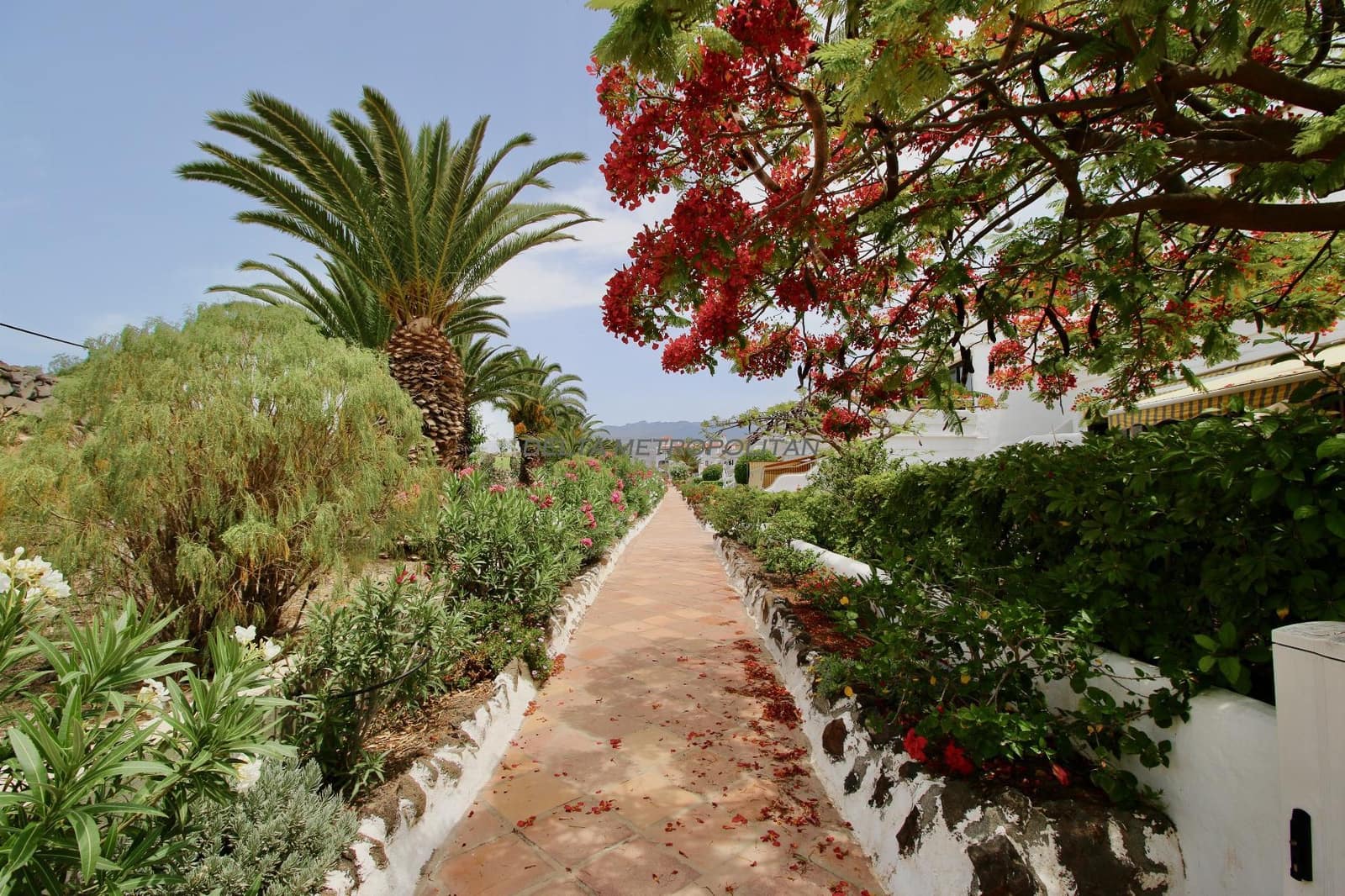 2 camera da letto Appartamento in vendita in Amarilla Golf con piscina - 310.000 € (Rif: 9325607)