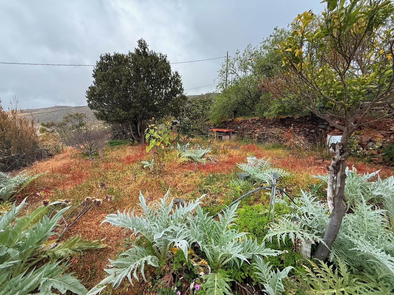 4 bedroom Finca/Country House for sale in Jama with garage - € 385,000 (Ref: 9697812)