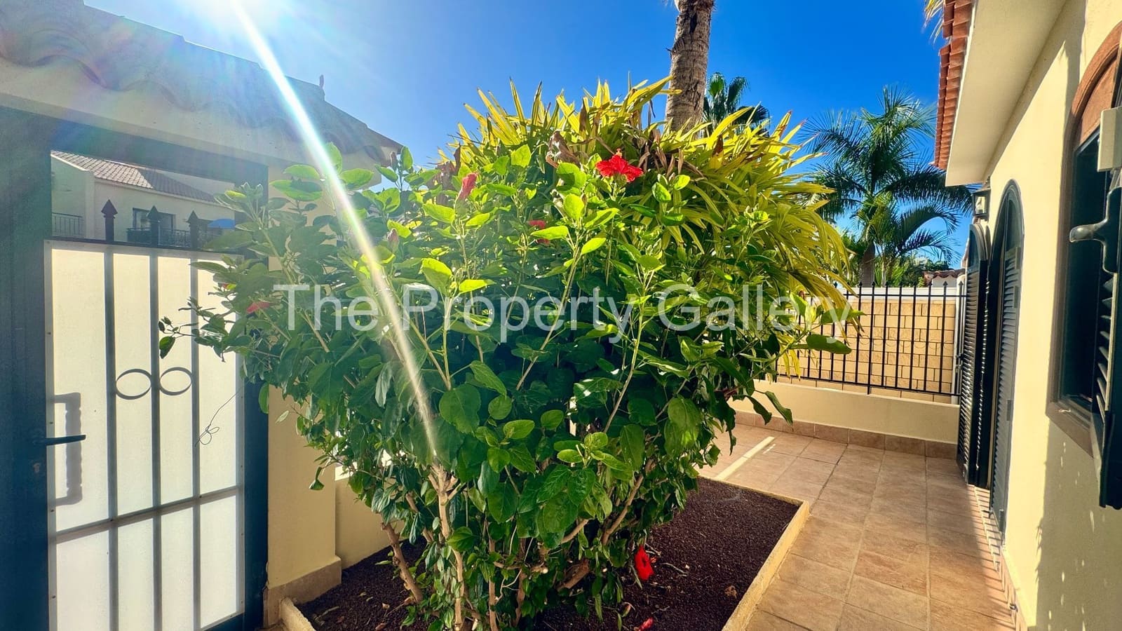 3 soveværelse Villa til salg i Playa del Duque med swimmingpool garage - € 2.199.000 (Ref: 8061999)