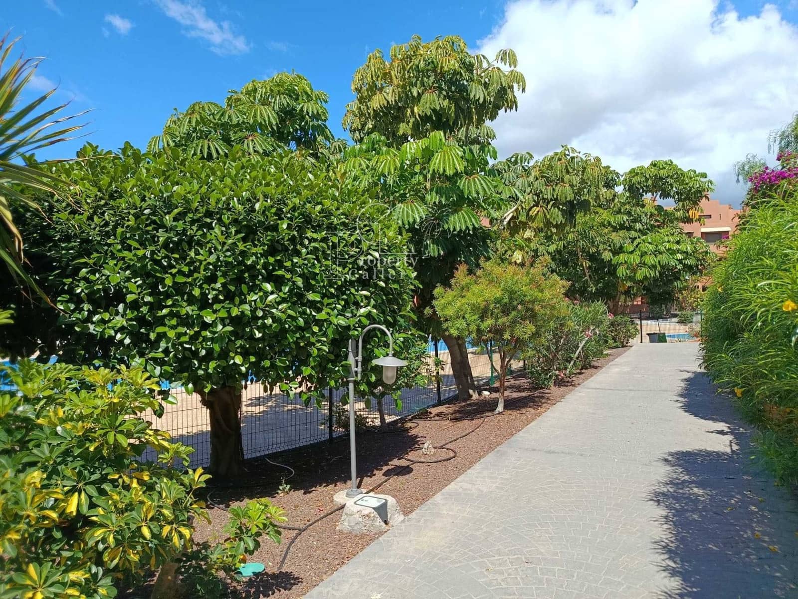 1 bedroom Apartment for sale in La Tejita with pool - € 280,000 (Ref: 9842053)