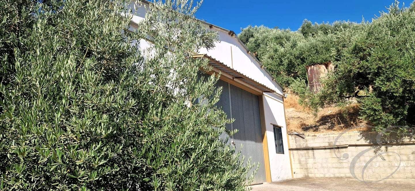 5 Zimmer Villa zu verkaufen in Iznajar mit Garage - 435.000 € (Ref: 10009797)