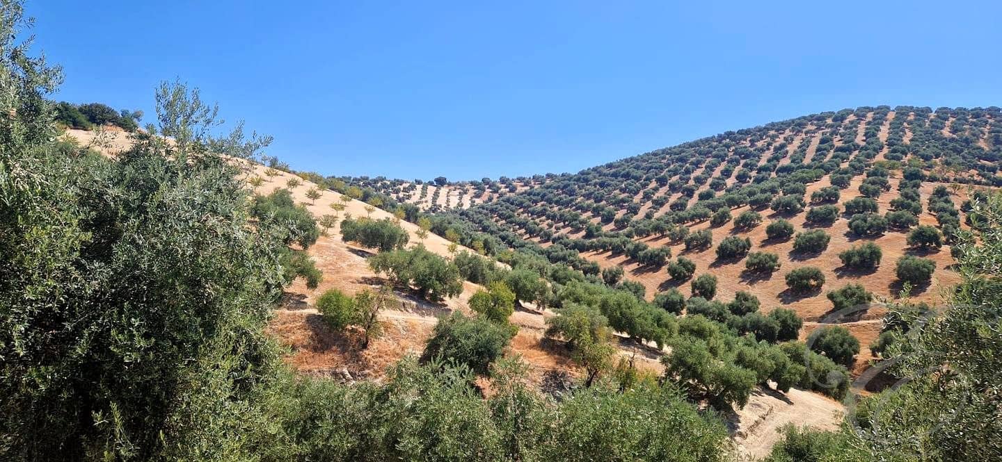5 bedroom Finca/Country House for sale in Iznajar with garage - € 390,000 (Ref: 10014161)