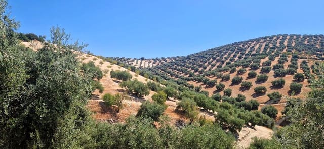 5 bedroom Finca/Country House for sale in Iznájar with garage - € 390,000 (Ref: 10014161)
