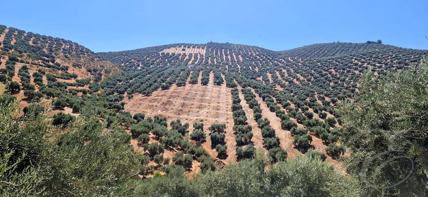 5 bedroom Finca/Country House for sale in Iznajar with garage - € 390,000 (Ref: 10014161)