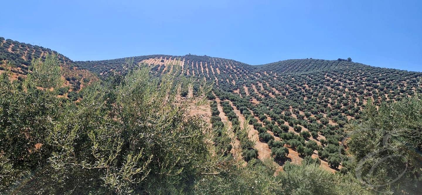 5 bedroom Finca/Country House for sale in Iznajar with garage - € 390,000 (Ref: 10014161)