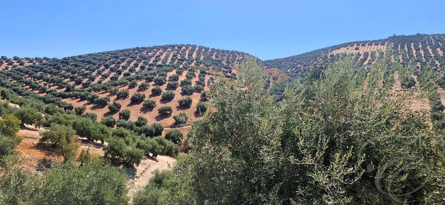 5 bedroom Finca/Country House for sale in Iznajar with garage - € 390,000 (Ref: 10014161)