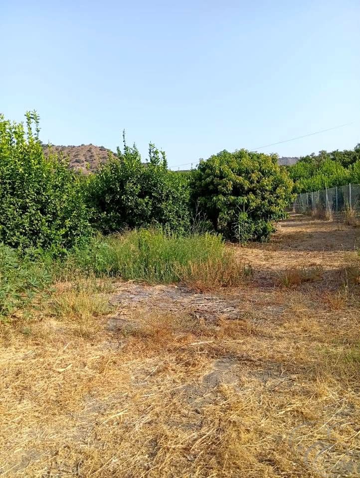 Finca/Casa Rural de 2 habitaciones en Benamargosa en venta - 300.000 € (Ref: 10060815)