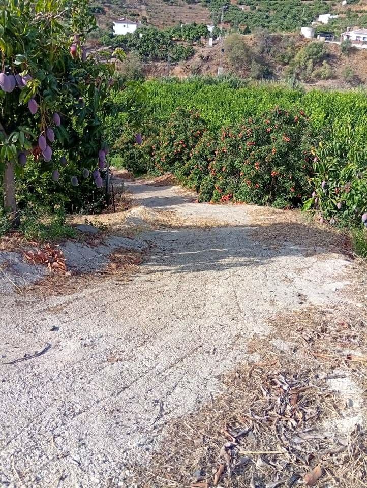 Finca/Casa Rural de 2 habitaciones en Benamargosa en venta - 300.000 € (Ref: 10060815)
