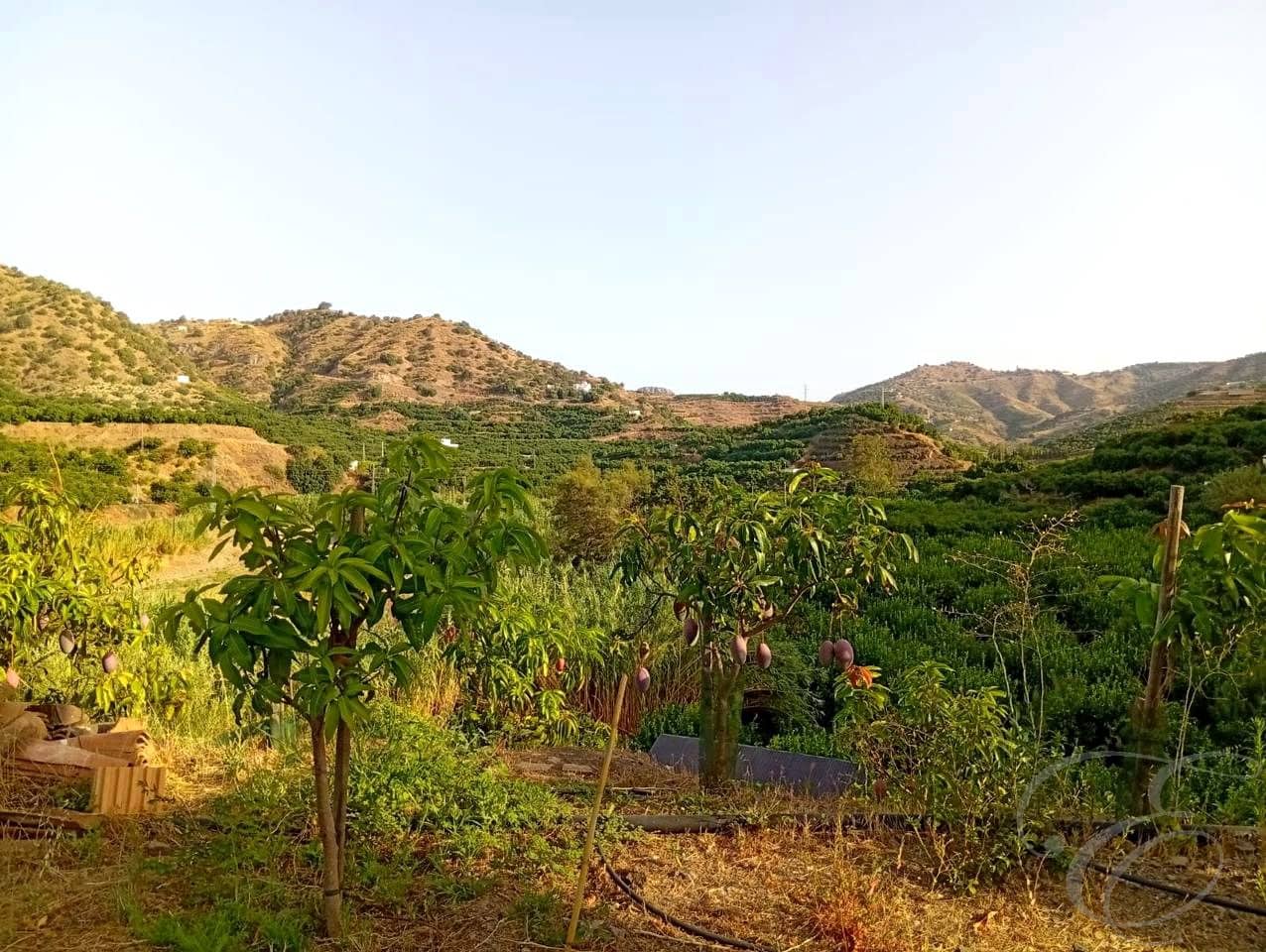Finca/Casa Rural de 2 habitaciones en Benamargosa en venta - 300.000 € (Ref: 10060815)