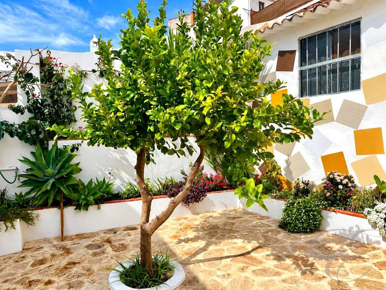4 soveværelse Villa til salg i Archidona - € 249.000 (Ref: 10172452)