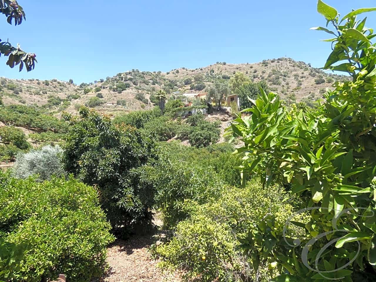 5 camera da letto Finca/Casa di Campagna in vendita in Comares - 175.000 € (Rif: 5414243)