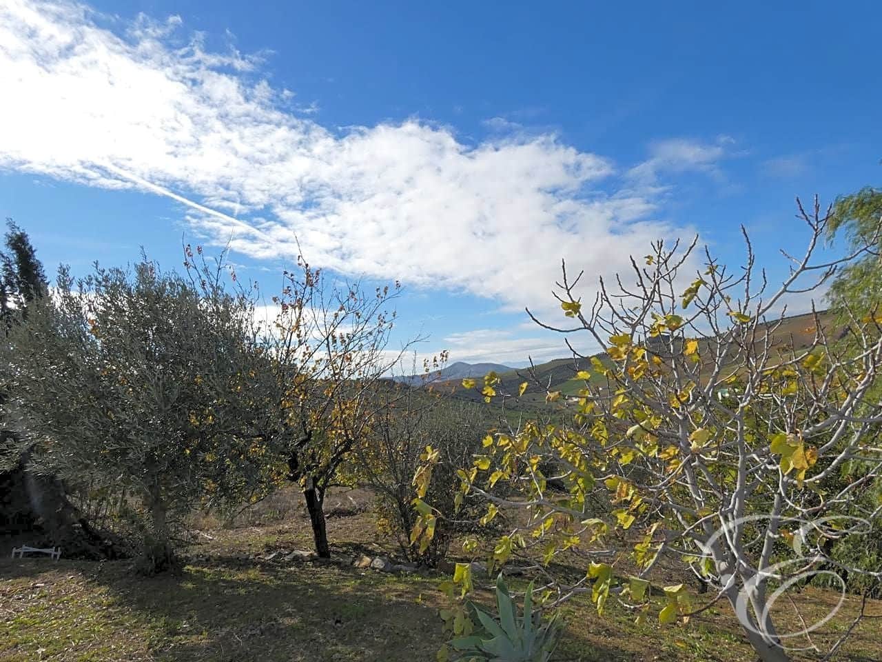 7 camera da letto Finca/Casa di Campagna in vendita in Colmenar con piscina - 350.000 € (Rif: 5812594)