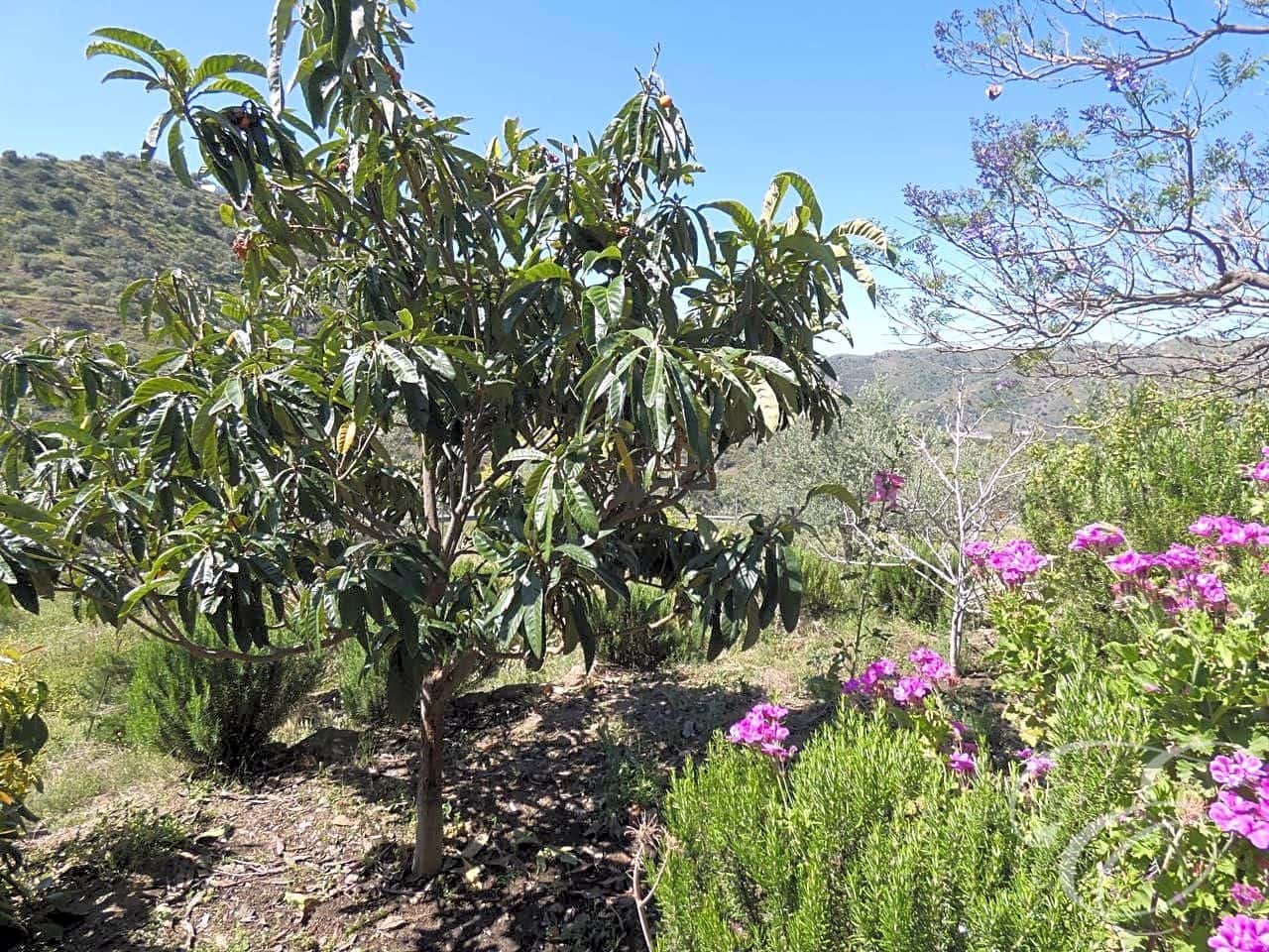 4 camera da letto Finca/Casa di Campagna in vendita in Canillas de Aceituno con garage - 249.000 € (Rif: 6089797)