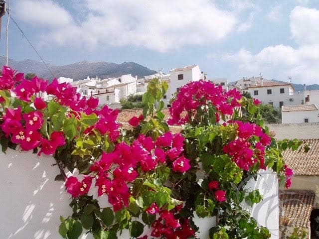 2 Zimmer Villa zu verkaufen in Sedella - 240.000 € (Ref: 6152059)