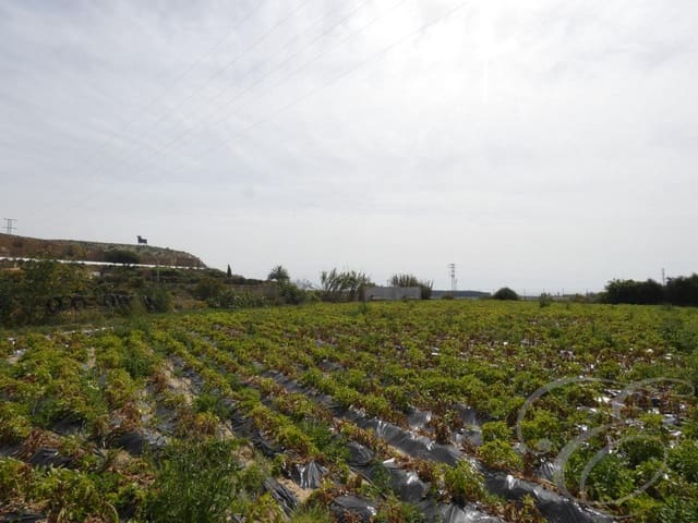 10 sovrum Finca/Hus på landet till salu i Almayate, Vélez-Málaga - 2 500 000 € (Ref: 6152102)