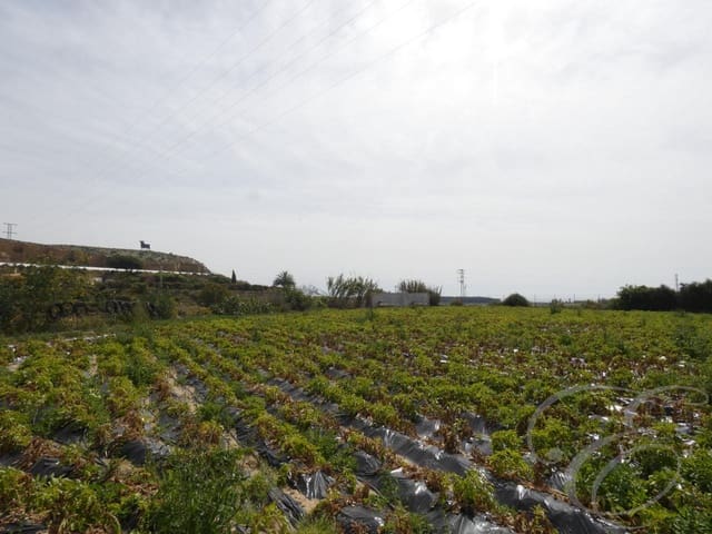 10 quarto Quinta/Casa Rural para venda em Almayate, Vélez-Málaga - 2 500 000 € (Ref: 6152102)