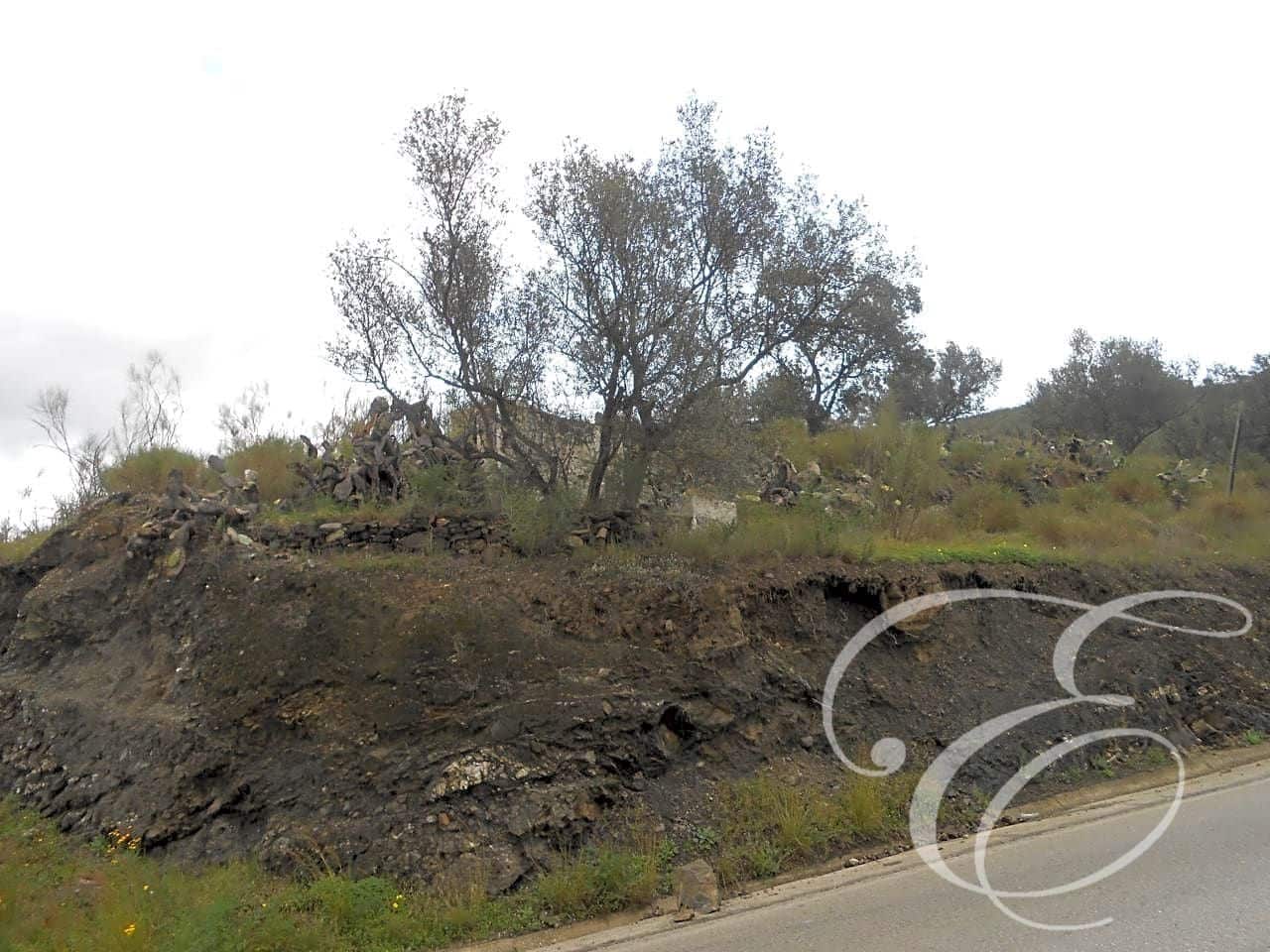 7 soveværelse Finca/Landehus til salg i Canillas de Aceituno - € 210.000 (Ref: 6152111)