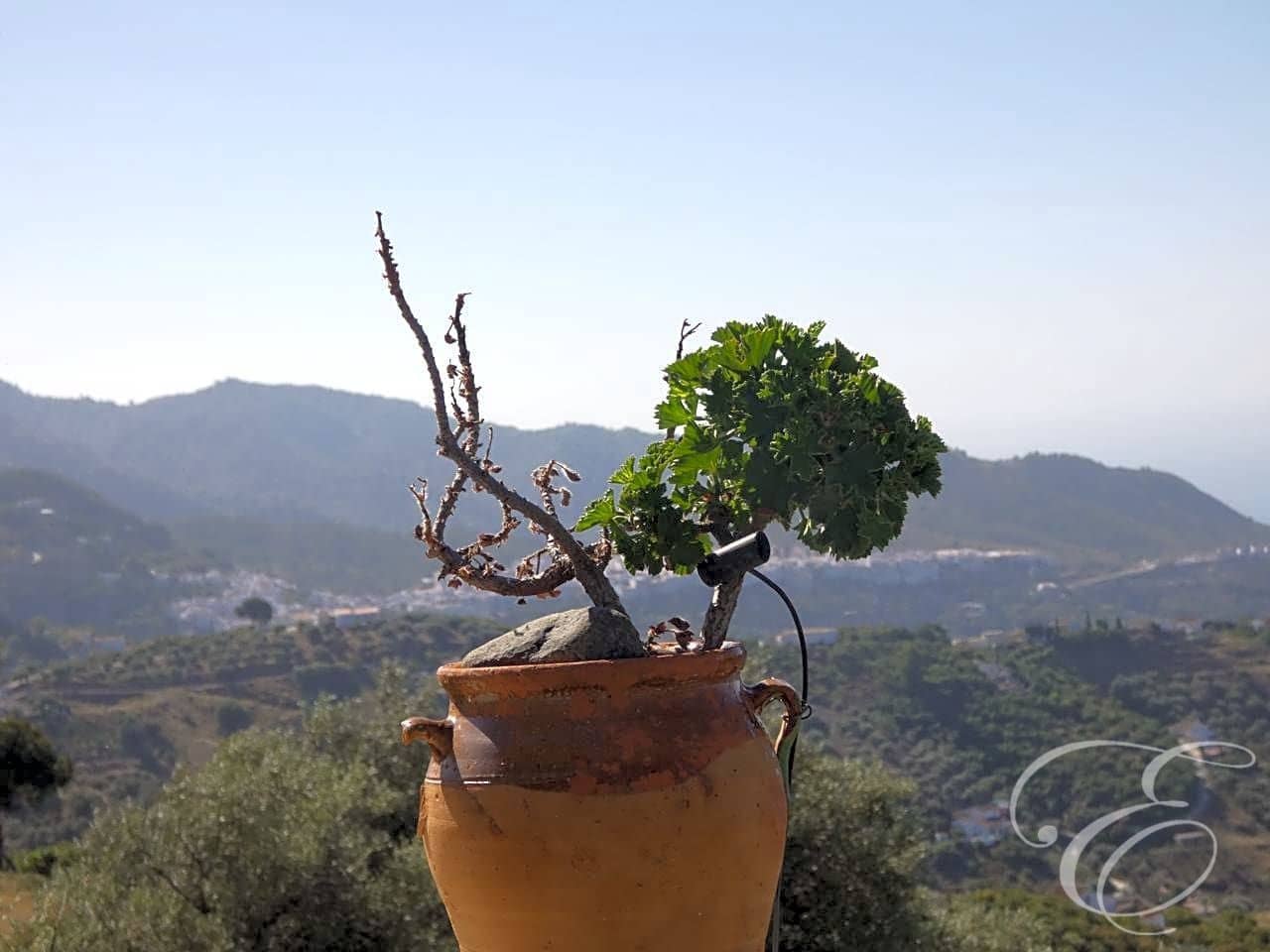 3 slaapkamer Finca/Landhuis te koop in Frigiliana met garage - € 1.049.000 (Ref: 6231787)