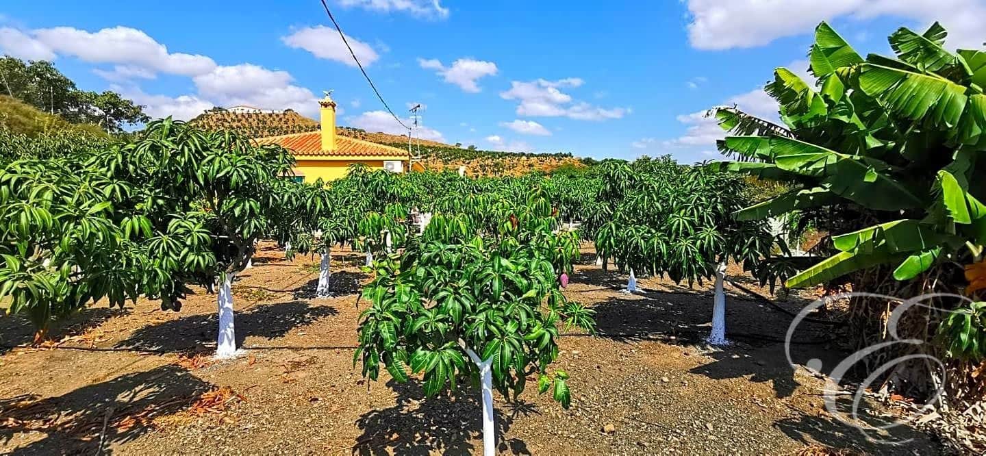 3 chambre Finca/Maison de Campagne à vendre à Velez-Malaga avec garage - 299 000 € (Ref: 6716390)