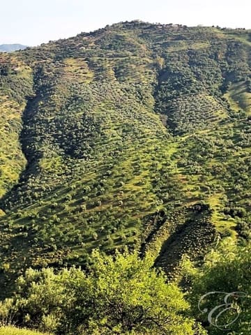 Finka/Dom wiejski na sprzedaż w Colmenar - 1 300 000 € (Ref: 6872980)