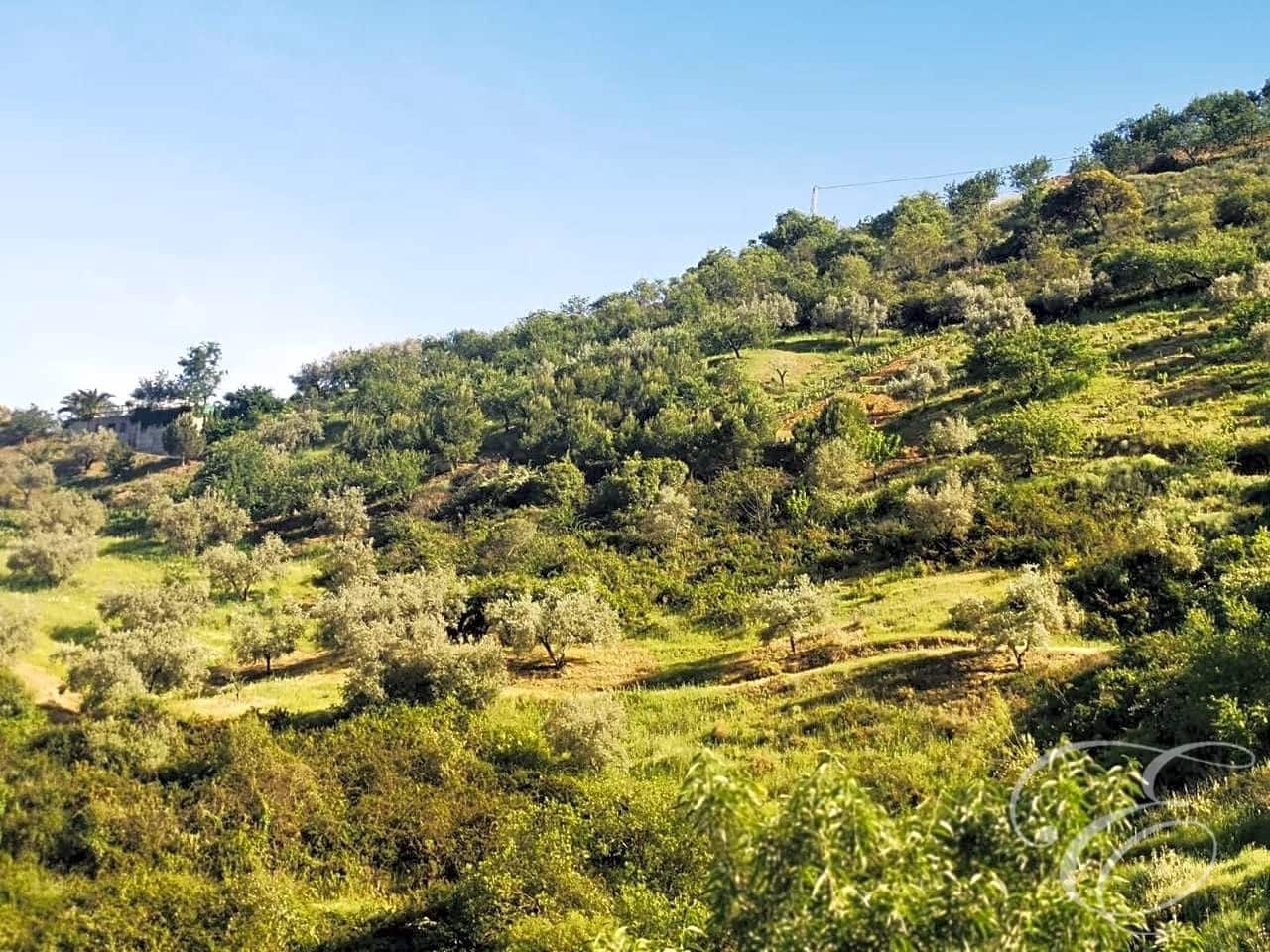 Finca/Country House for sale in Colmenar - € 1,300,000 (Ref: 6872980)