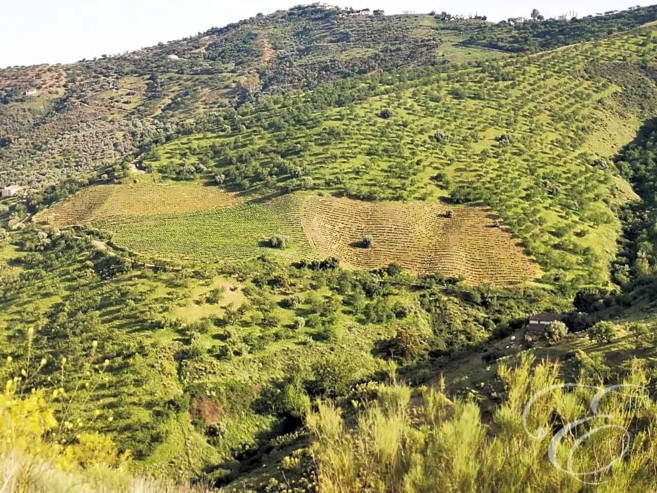 Finca/Country House for sale in Colmenar - € 1,300,000 (Ref: 6872980)