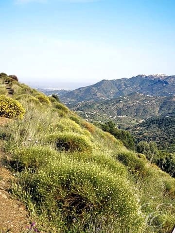 Finka/Dom wiejski na sprzedaż w Colmenar - 1 300 000 € (Ref: 6872980)