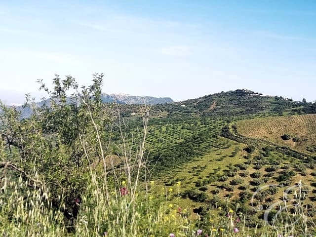 Finka/Dom wiejski na sprzedaż w Colmenar - 1 300 000 € (Ref: 6872980)