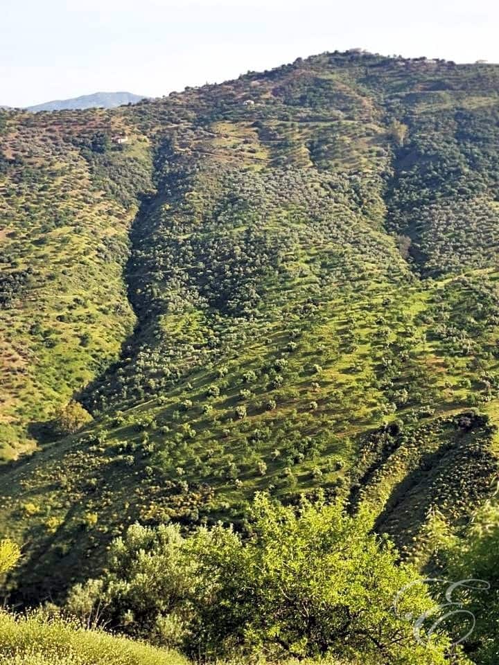 Finca/Country House for sale in Colmenar - € 1,300,000 (Ref: 6872980)