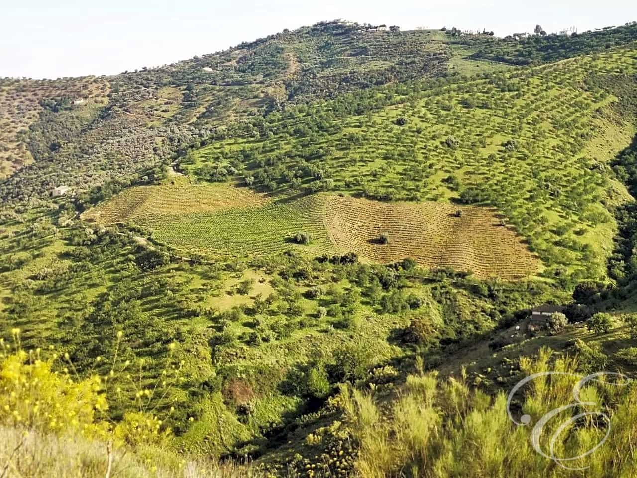 Finca/Country House for sale in Colmenar - € 1,300,000 (Ref: 6872980)