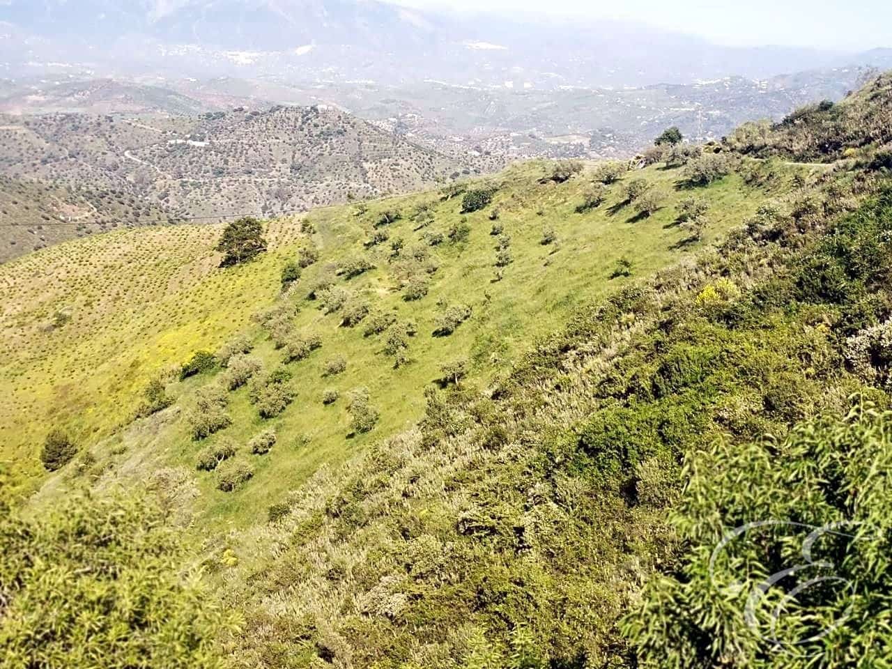 Finca/Country House for sale in Colmenar - € 1,300,000 (Ref: 6872980)