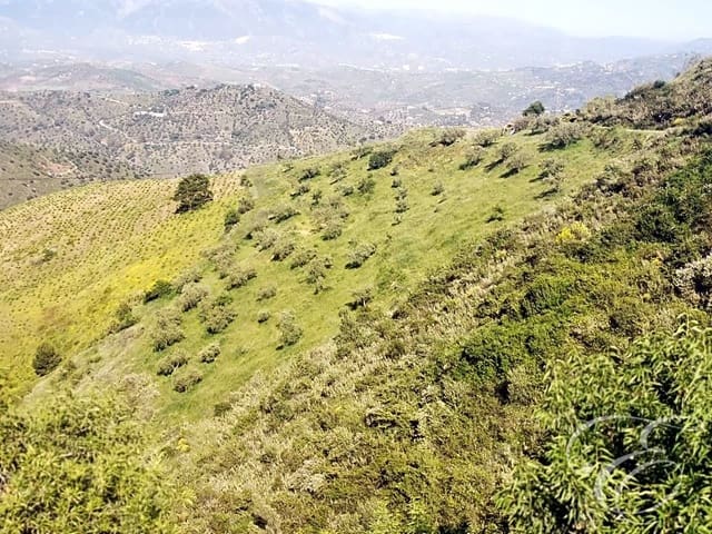 Finka/Dom wiejski na sprzedaż w Colmenar - 1 300 000 € (Ref: 6872980)