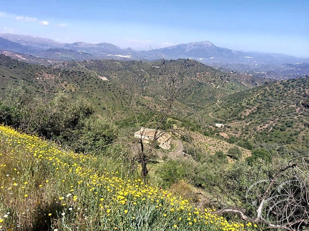 Finca/Country House for sale in Colmenar - € 1,300,000 (Ref: 6872980)