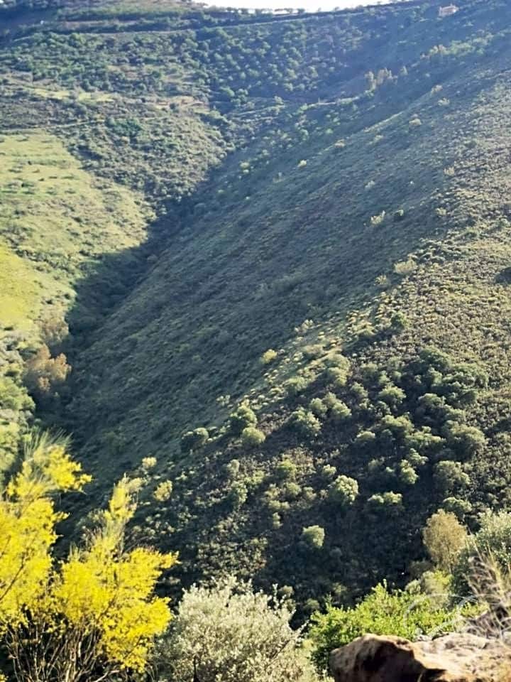 Finca/Country House for sale in Colmenar - € 1,300,000 (Ref: 6872980)