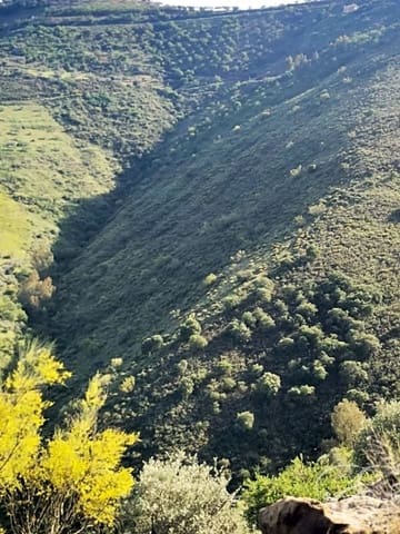 Finka/Dom wiejski na sprzedaż w Colmenar - 1 300 000 € (Ref: 6872980)