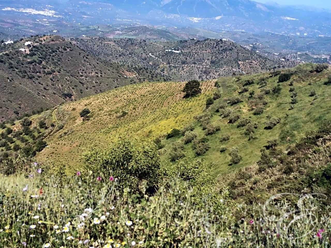 Finca/Country House for sale in Colmenar - € 1,300,000 (Ref: 6872980)