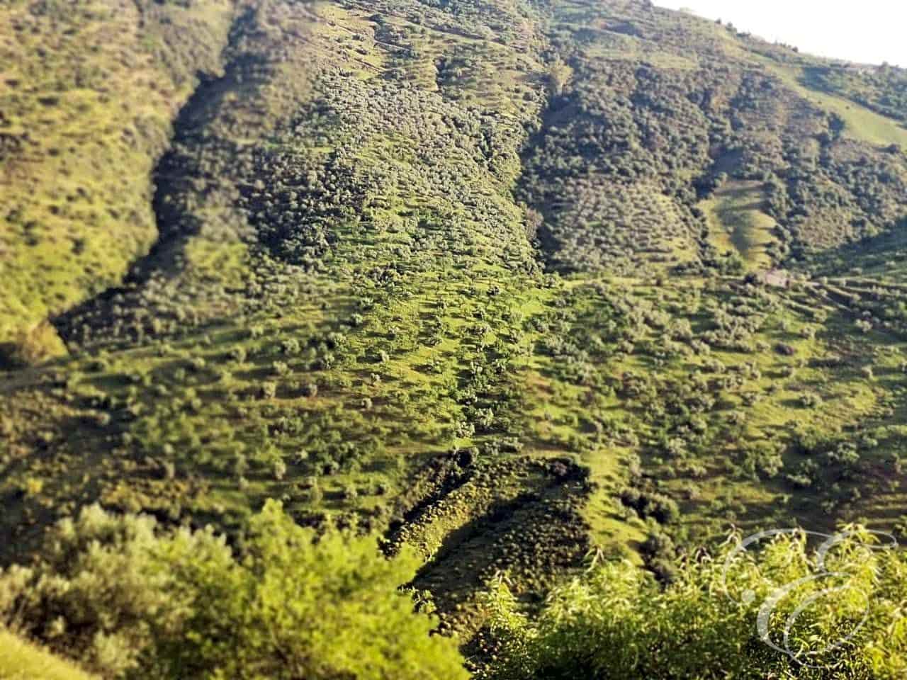 Finca/Country House for sale in Colmenar - € 1,300,000 (Ref: 6872980)