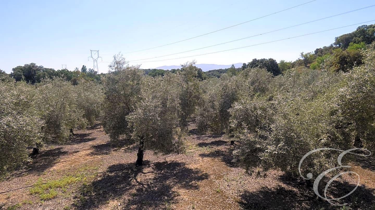 11 soveværelse Finca/Landehus til salg i Archidona med swimmingpool garage - € 590.000 (Ref: 6872981)