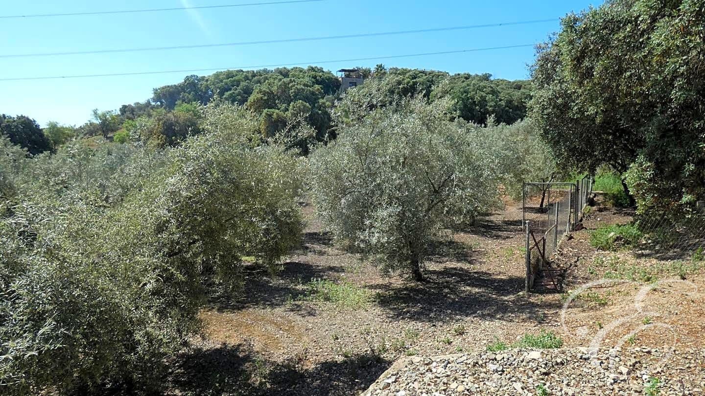 11 soveværelse Finca/Landehus til salg i Archidona med swimmingpool garage - € 590.000 (Ref: 6872981)